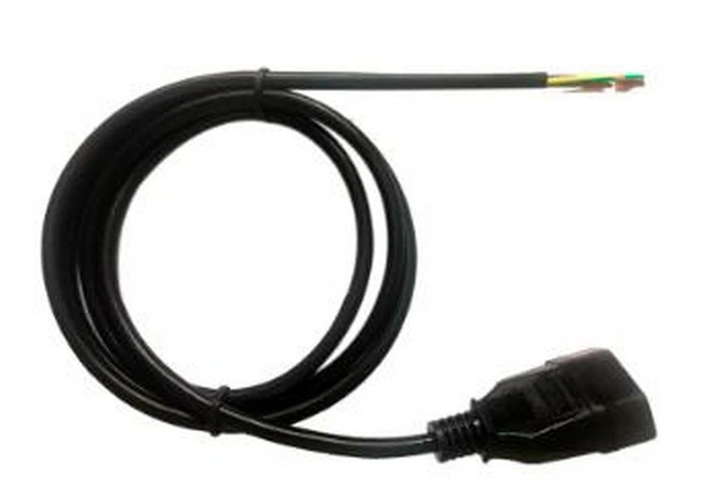 Imagem ilustrativa de Rabicho de força